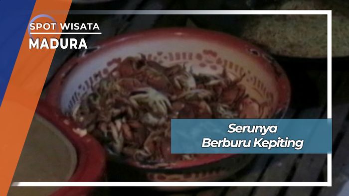 Berburu Kepiting Hutan Bakau Pamekasan