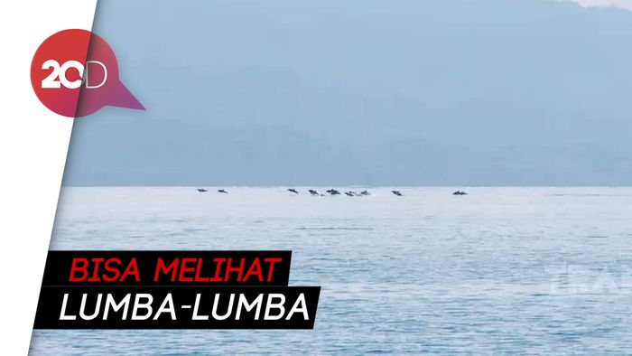 My Trip My Adventure: Menengok Keindahan Pantai Batu Payung Maluku