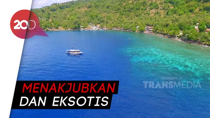 Celebrity on Vacation: Menyelami Bawah Laut Pulau Alor NTT