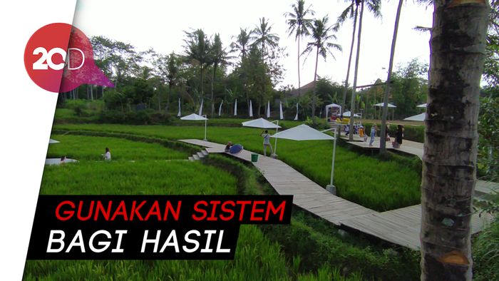 SvargaBumi Borobudur, Wisata Magelang yang Gandeng Petani Lokal