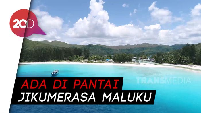 My Trip My Adventure: Snorkeling Bareng Kumpulan Ikan di Pulau Buru