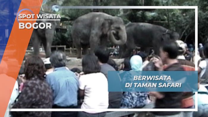 Berwisata di Taman Safari Indonesia, Bogor