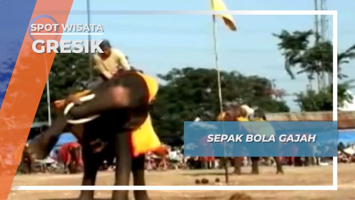 Sepak Bola Gajah Gresik