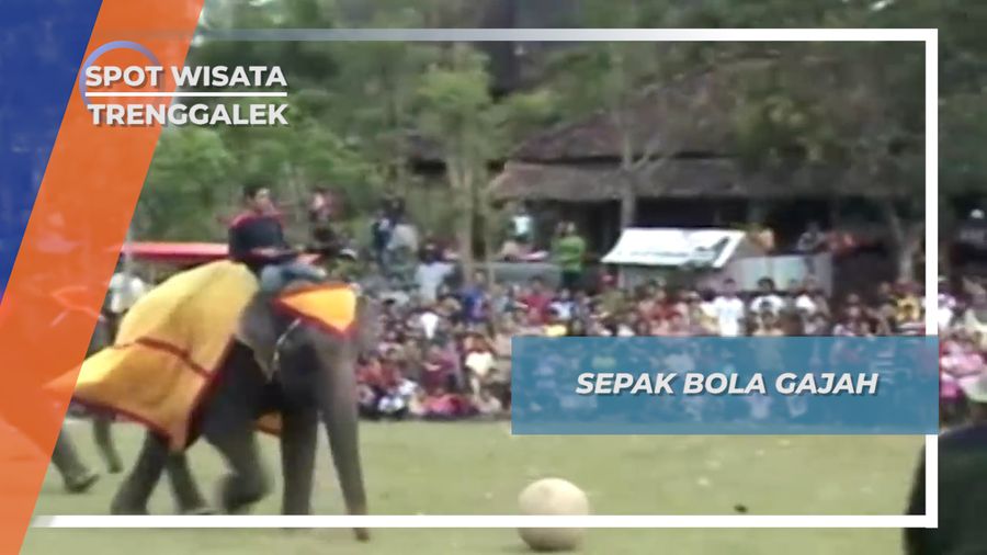 Sepak Bola Gajah Trenggalek