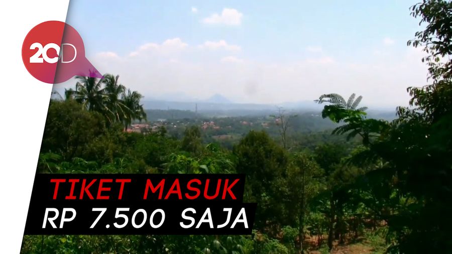 Menikmati Udara Segar di Wisata Alam Hutan Pinus Purwakarta