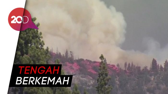Ratusan Orang Dievakuasi dari Kebakaran Hutan California