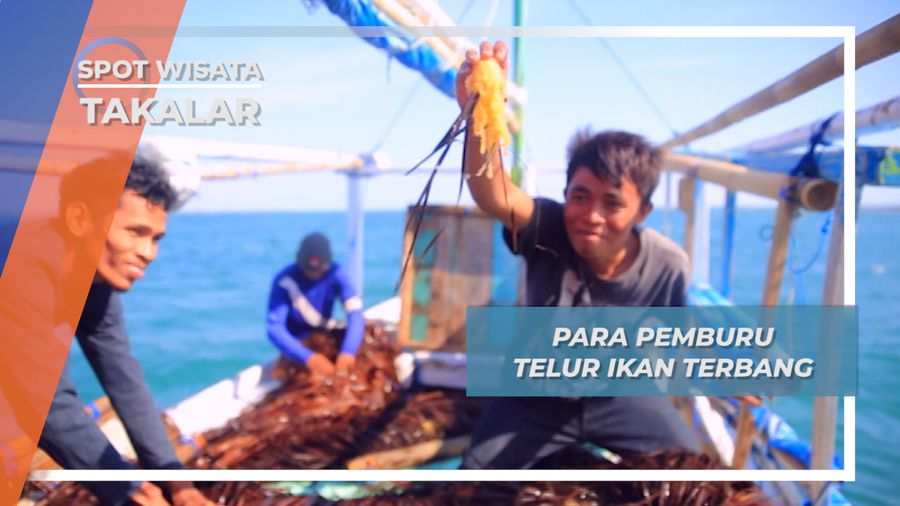Pataroni  Bayau, Pemburu Telur Ikan Terbang Takalar