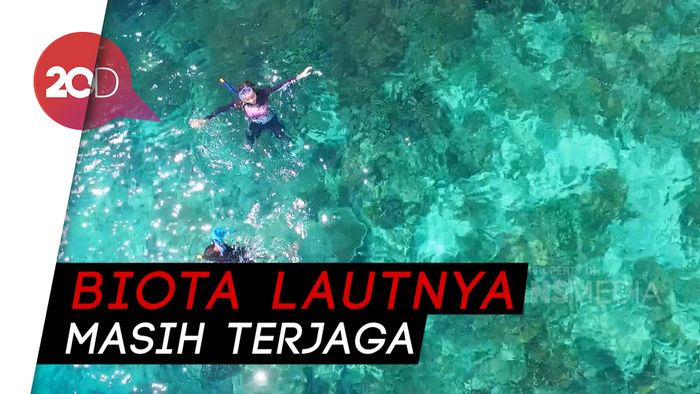 Celebrity on Vacation: Keindahan Bawah Laut Luwuk Sulteng