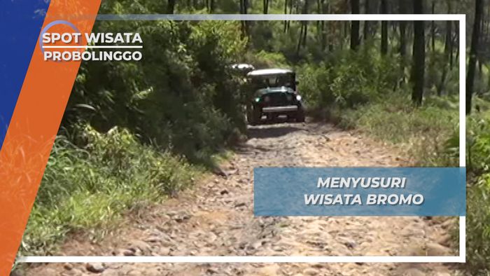 Wisata Bromo via Bukit Tanggul Asih Desa Pusung Malang Sari Kerep 