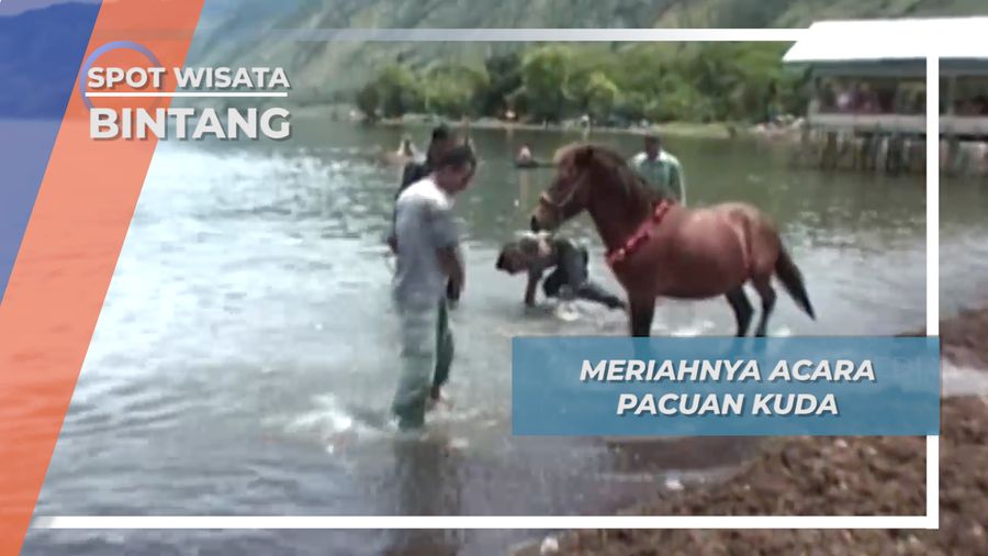 Seru Meriah Pacu Kuda Di Atas Air Bintang Takengon