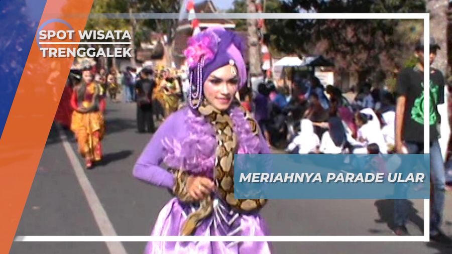 Ular Trenggalek Turut Parade Keliling Kota
