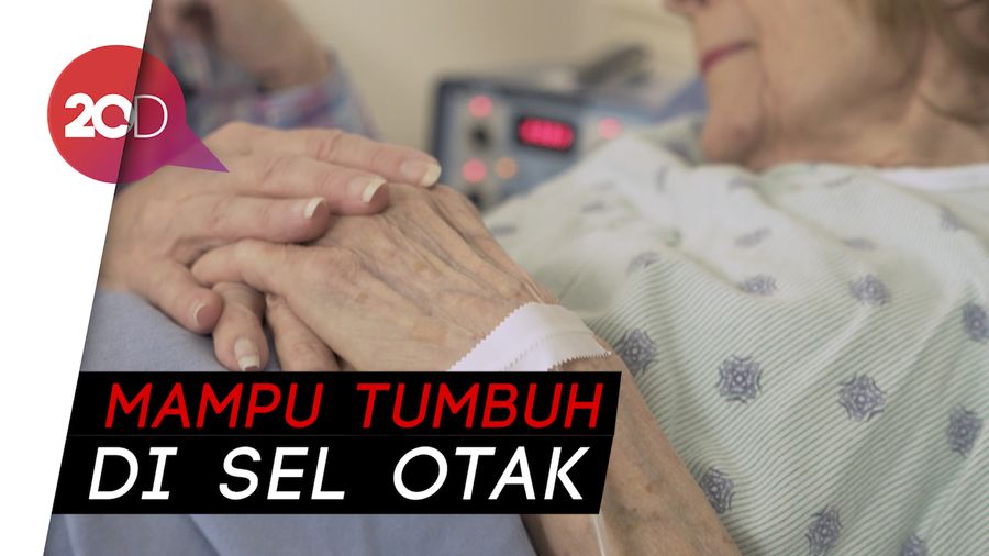 Baru! Peneliti Melihat Ada Kemungkinan Virus Corona Serang Otak