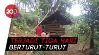 Geger Macan Tutul Gunung Sawal Turun Mangsa Domba Warga