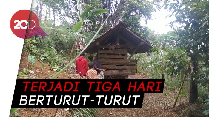 Geger Macan Tutul Gunung Sawal Turun Mangsa Domba Warga