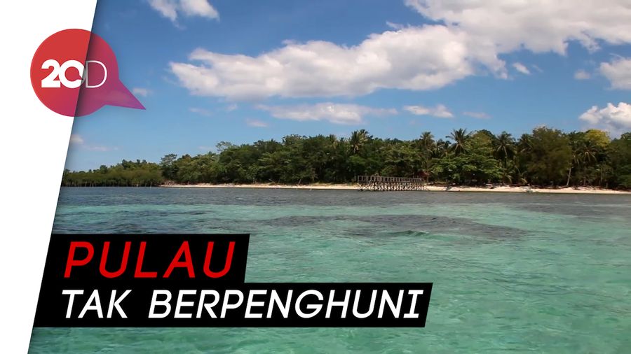 Pulau Bakki, Surga Bahari dan Ragam Tanaman Mangrove di Sulawesi
