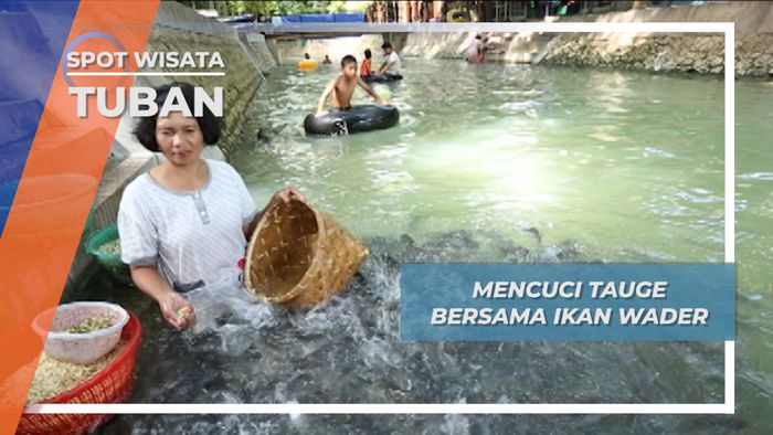  Ikan Wader Membantu Ibu Desa Rengel Tuban Mencuci Tauge Di Sungai