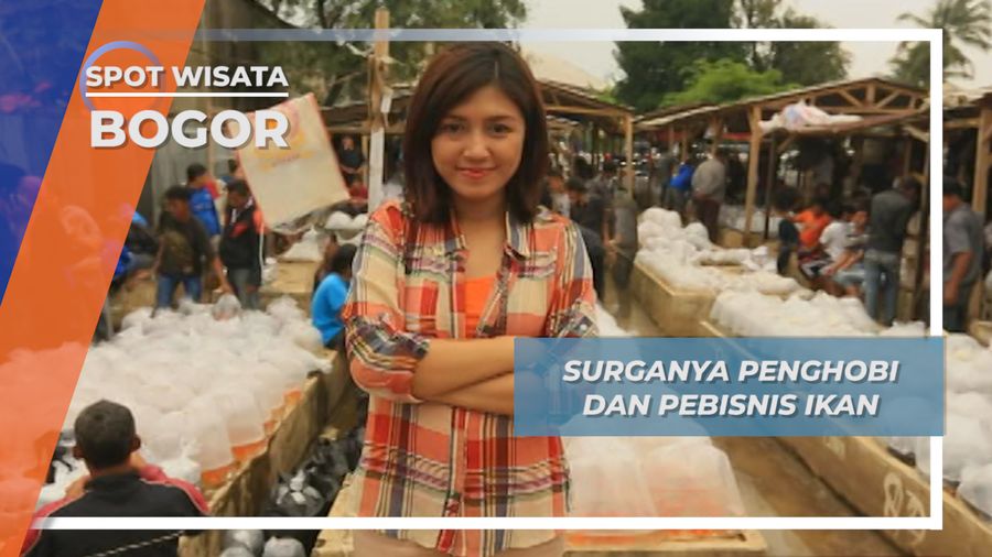 Pasar Ikan Parung Bogor, Surganya Pencinta Ikan 