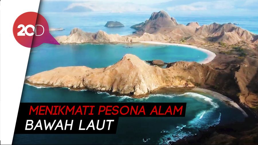 Ini Lokasi Terbaik untuk Snorkeling dan Diving di Labuan Bajo