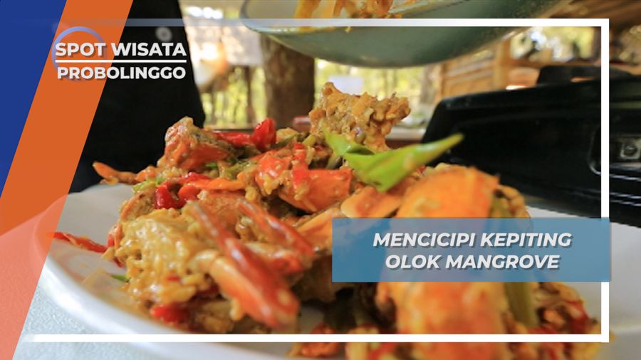 Kepiting Olok Mangrove, Kuliner Segar Probolinggo