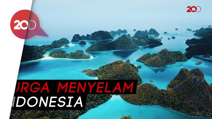 Menyelam Hingga Mendaki Bisa di Raja Ampat 