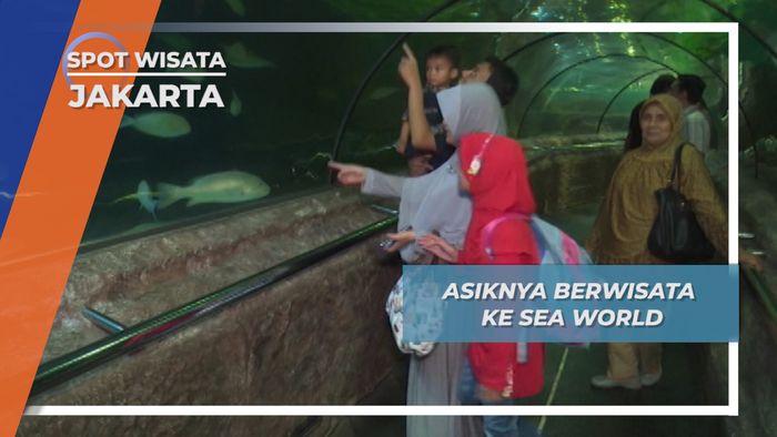 Edukasi Kelautan di Akuarium Raksasa Jakarta