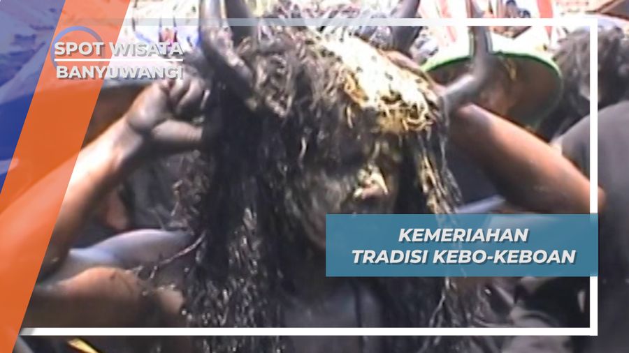Kebo-keboan, Tradisi Seni Banyuwangi