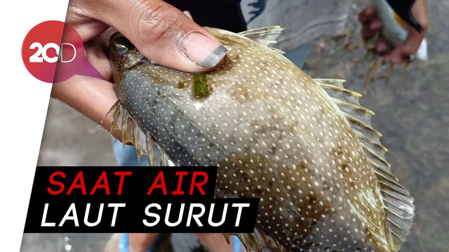 Berlibur Sambil Menangkap Ikan di Sulawesi Selatan
