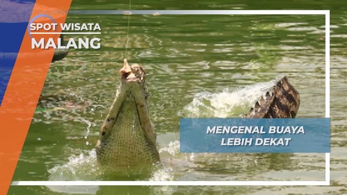 Memancing Buaya Kota Batu Malang