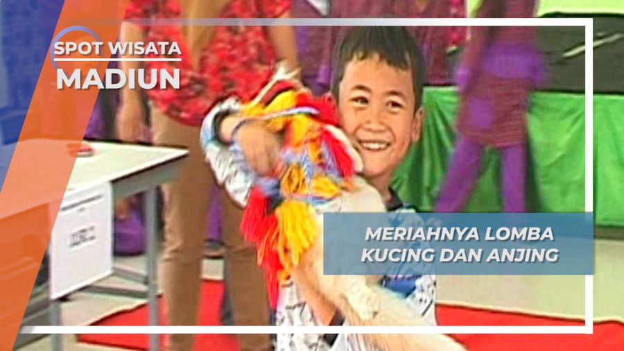 Meriahnya Lomba Kucing dan Anjing, Madiun