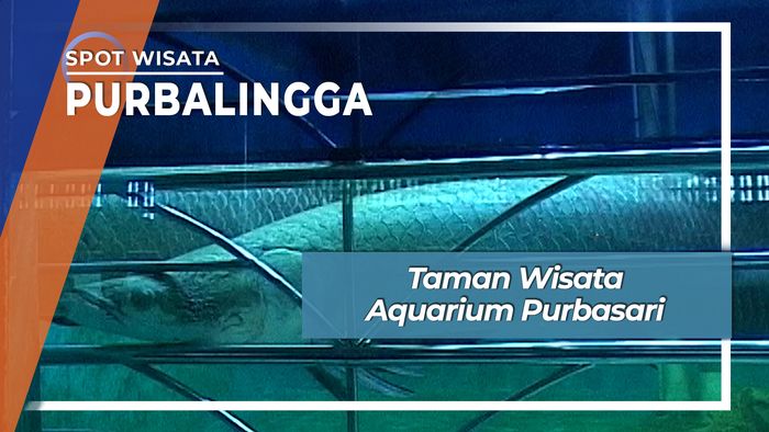 Taman Aquarium Purbasari Purbalingga