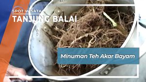 Teh Akar Bayam, Minuman Kesehatan Tanjung Balai Sumatera Urara