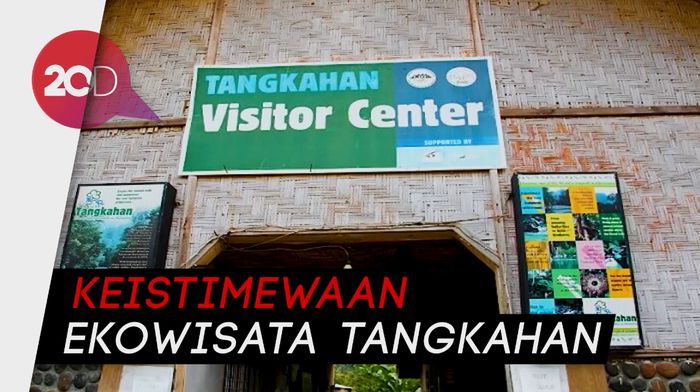 Indahnya Alam Tangkahan untuk Liburan Nanti