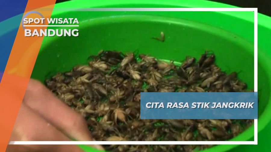 Stik Jangkrik, Kaya Protein Jalan Raya Soreang-Cipatik Bandung