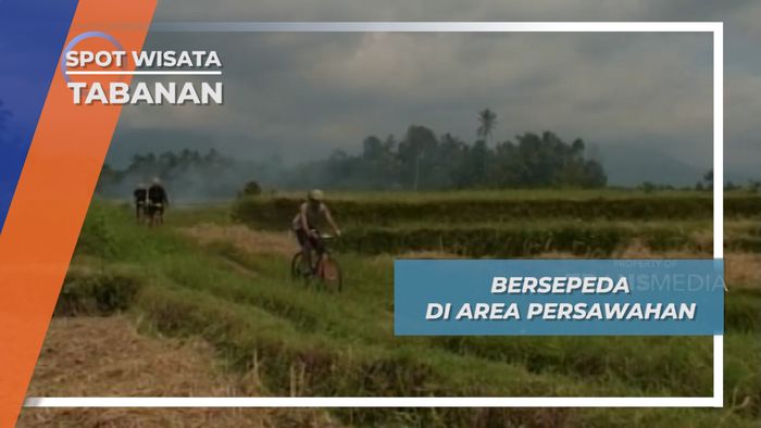 Gowes di Area Persawahan, Tabanan