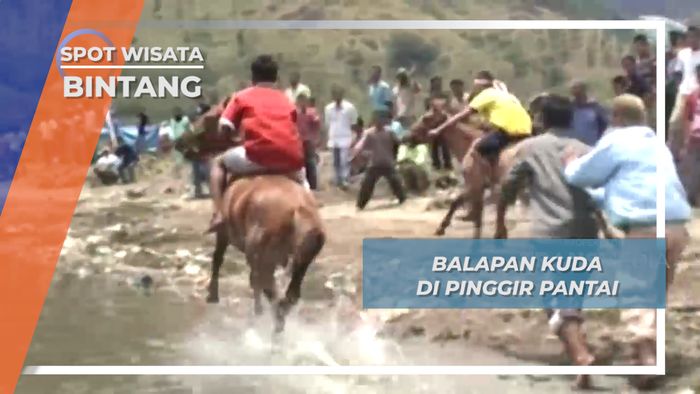 Balapan Kuda di Pinggir Pantai, Bintang