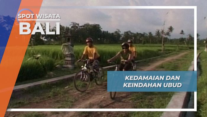 Jelajah Pulau Dewata: Kedamaian dan Keindahan Ubud