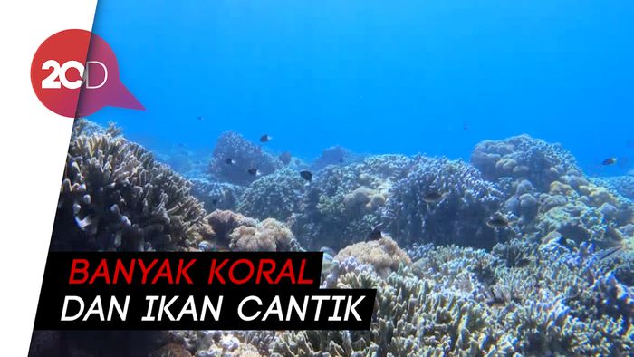 My Trip My Adventure: Menyelami Pulau Liukang Loe di Sulsel