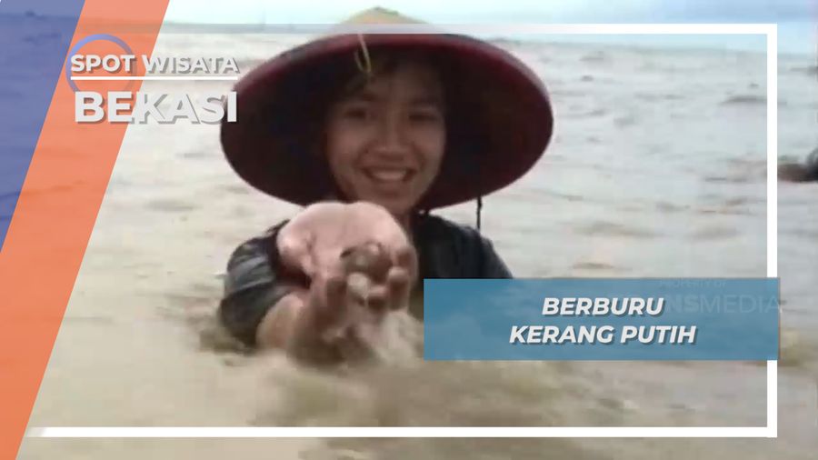 Berburu Kerang Putih, Bekasi