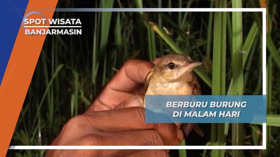 Berburu Burung di Malam Hari, Banjarmasin