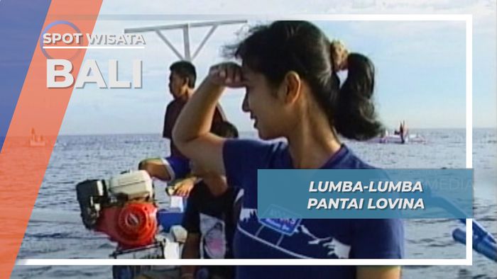 Lumba-lumba Pantai Lovina, Bali