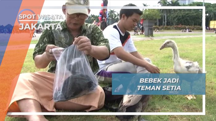 Bebek Penurut yang Lucu, Jakarta