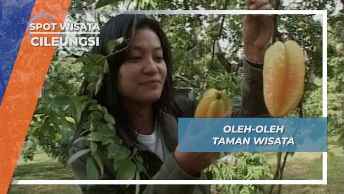Oleh-Oleh Taman Wisata, Cileungsi