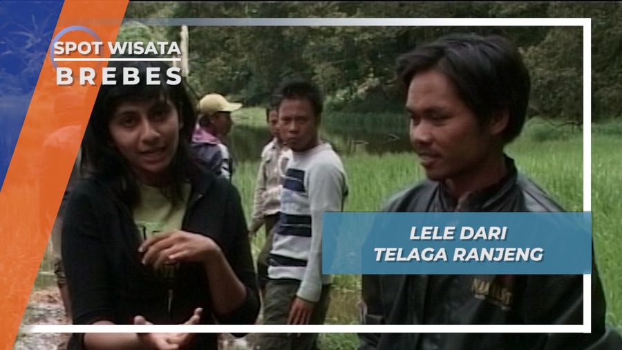 Lele Telaga Ranjeng Desa Pandansari Dataran Tinggi Brebes