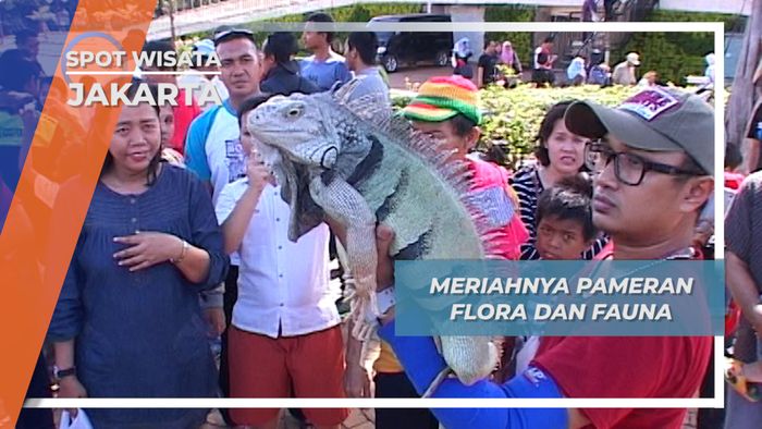 Pameran Satwa Jakarta, Tempat Berkumpulnya Para Pecinta Binatang