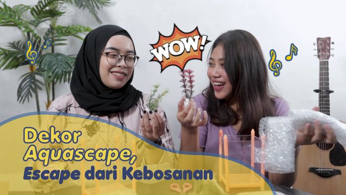 Biar Nggak Bosan, Dekor Aquascape Aja