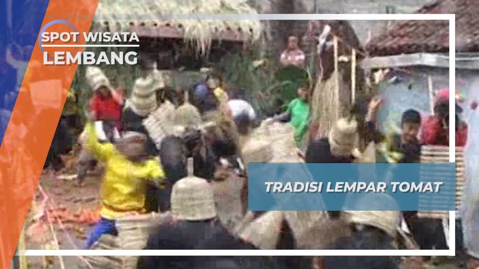 Tradisi Perang Lempar Tomat Kampung Cikareumbi Cikidang Lembang