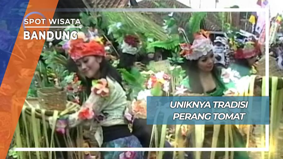 Tradisi Perang Lempar Tomat, Ujuk Rasa Syukur dan Buang Sial ala Cikareumbi Cikidang Lembang