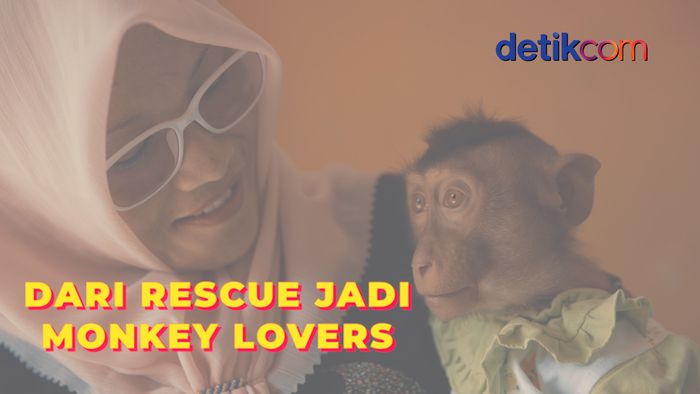 Cerita Monkey Lovers Karawang, dari Rescue Jadi Komunitas
