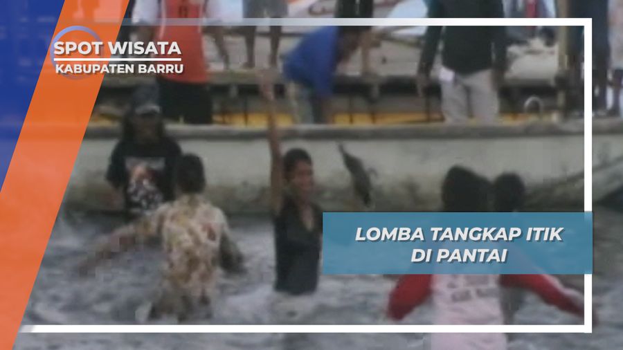 Tangkap Itik Pantai Kupa Mallusetasi Barru