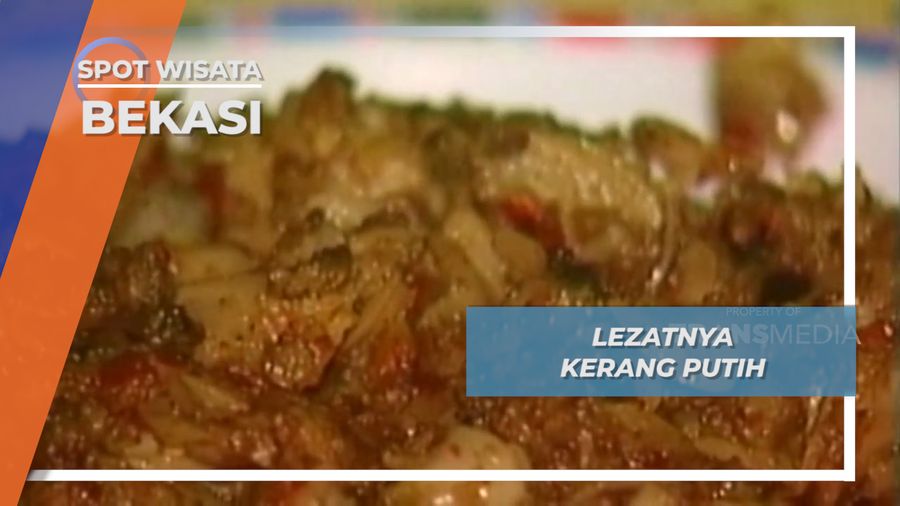 Lezat Nikmat Kerang Putih Hasil Tangkapan Bekasi